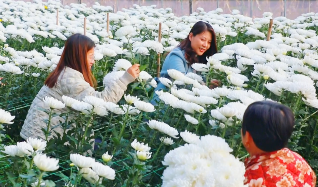 �F�ǅ^(q��)���ջ������M�ء���