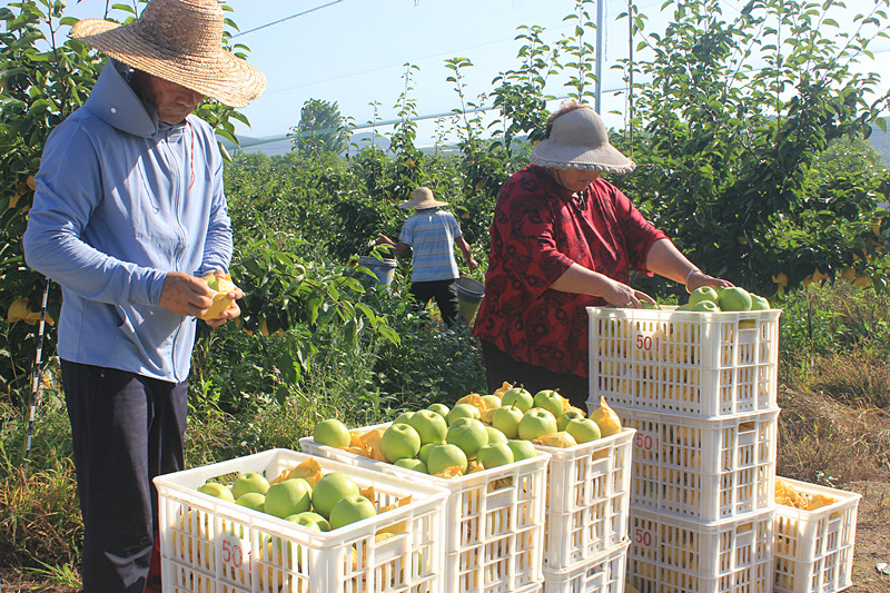 ��óԣ����Ѕ^(q��)ǰ�����@��(g��)���@������������